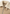 Premium Herren-Lammfelljacke GREGOR in Beige