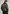 Premium Herren-Lammfelljacke HAKON in Khaki