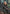 Lammfelljacke Curly Felicite - Olive zum Wenden