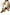 Alpina Charm Damen Boots mit Shearling-Futter