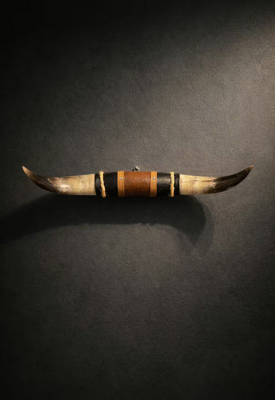 Bullenhorn Wandobjekt Modell 11 – Naturhorn Einzelstück mit Leder-Holzhalterung