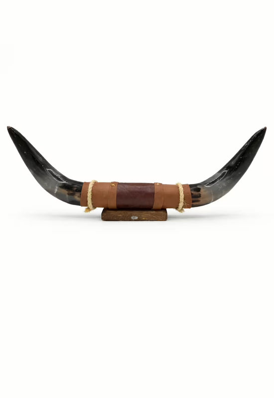 Bullenhorn Wandobjekt Modell 12 – Naturhorn Einzelstück mit Leder-Holzhalterung