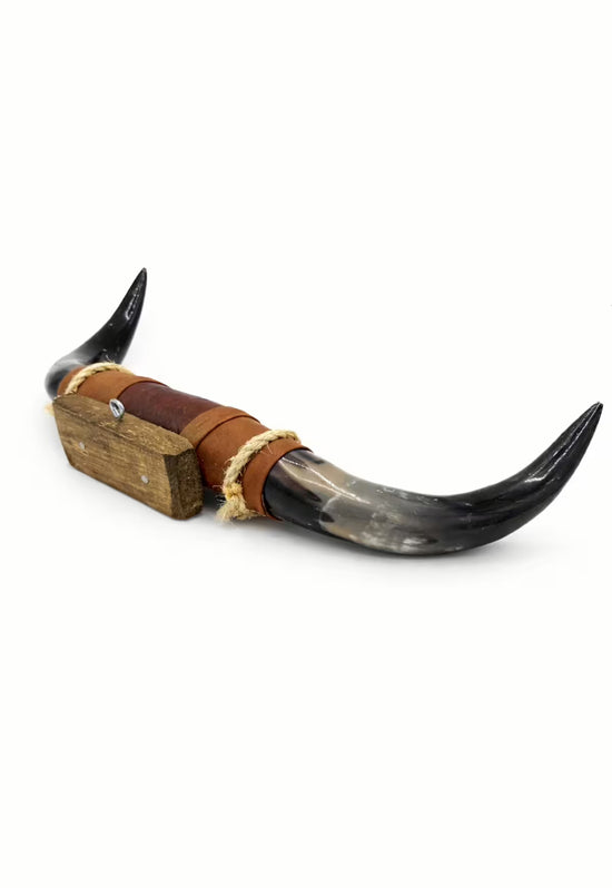 Bullenhorn Wandobjekt Modell 12 – Naturhorn Einzelstück mit Leder-Holzhalterung