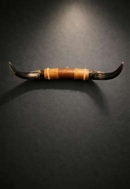 Bullenhorn Wandobjekt Modell 12 – Naturhorn Einzelstück mit Leder-Holzhalterung