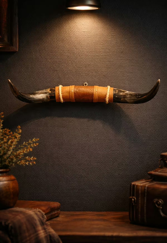 Bullenhorn Wandobjekt Modell 12 – Naturhorn Einzelstück mit Leder-Holzhalterung