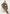 Damenhemd & Damenhose Leinen  Khaki – Langarm-Blazer & Palazzo-Hose
