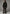 Shearling Lammfelljacke Khaki