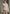Luxuriöse Toscana Lammfelljacke in Creme-Beige – Modell 1039
