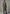 Exklusiver Lammfellmantel Olive – Shearling Damen Modell 1134