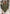 Damen-Kaschmirponcho aus 100 % Cashmere Olive