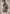 Herren-Lammfelljacke aus Shearling mit breitem Reverskragen