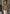 Herren-Lammfelljacke aus Shearling mit breitem Reverskragen