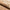 Aktionsbanner