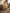 Lammfellkissen aus Lammfell in Vanille auf dem Sofa, seitlich im Wohnraum fotografiert