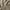 Aktionsbanner