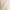 Aktionsbanner