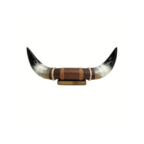 Bullenhorn-Wanddeko freigestellt auf weißem Hintergrund, Frontansicht mit symmetrisch nach oben gebogenen Enden.