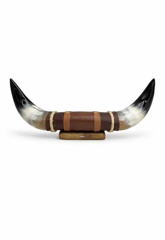 Bullenhorn-Wanddeko freigestellt auf weißem Hintergrund, Frontansicht mit sichtbarer Holzhalterung und Lederband.