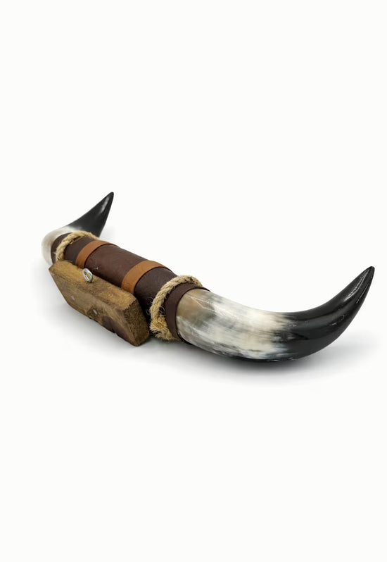 Bullenhorn-Wanddeko freigestellt auf weißem Hintergrund, seitliche Ansicht mit gebogener Hornspitze.