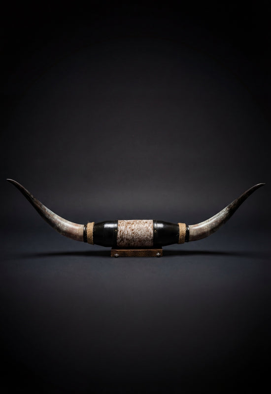 Freigestellte schwarze Wanddekoration aus Leder mit Longhorns auf dunklem Hintergrund.