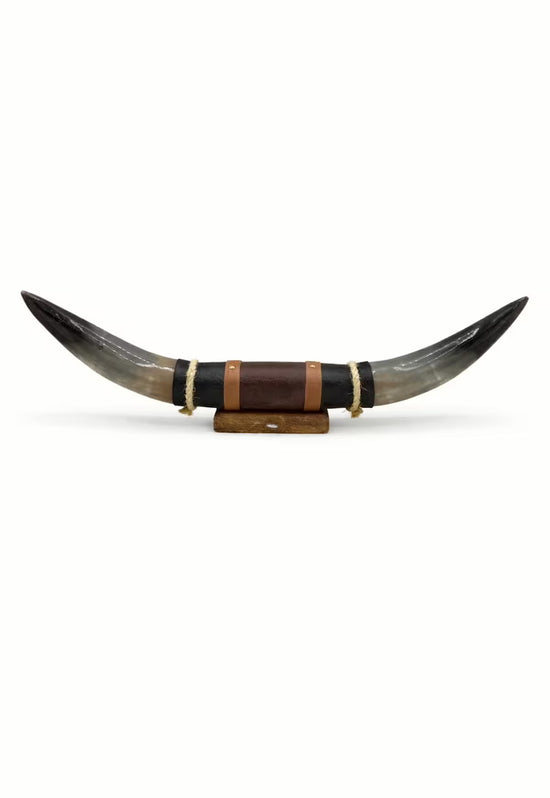 Bullenhorn-Wanddekoration aus Naturhorn mit Leder-Holzhalterung freigestellt in Detailansicht