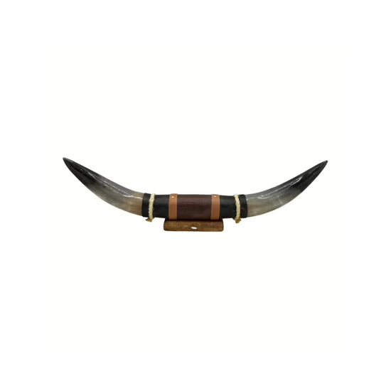 Bullenhorn-Wanddekoration aus Naturhorn mit Leder-Holzhalterung freigestellt von vorn