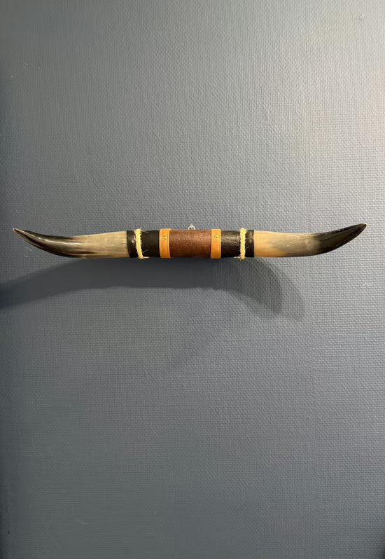 Bullenhorn-Wanddekoration aus Naturhorn mit Leder-Holzhalterung an grauer Wand